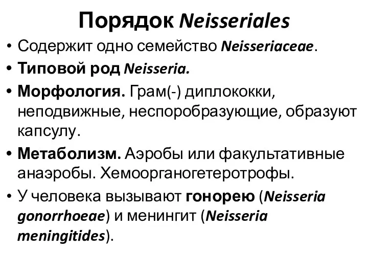Порядок Neisseriales Содержит одно семейство Neisseriaceae. Типовой род Neisseria. Морфология.