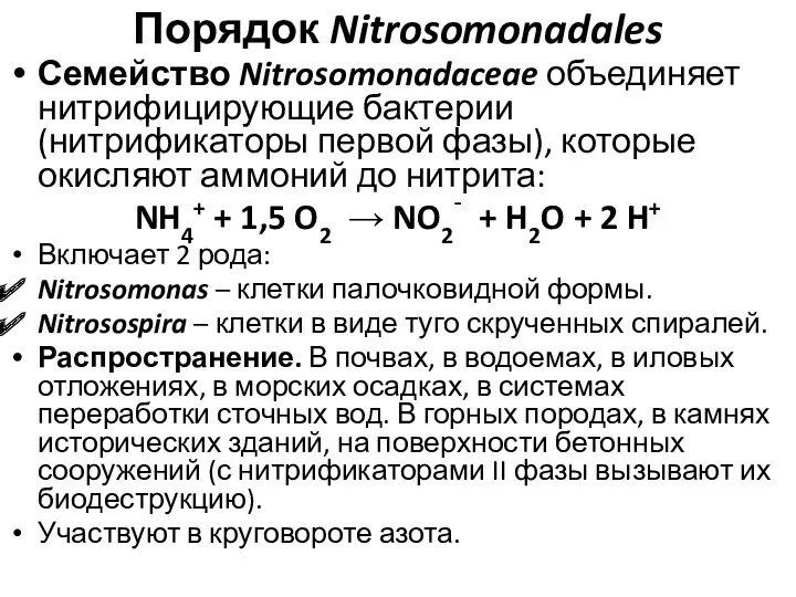 Порядок Nitrosomonadales Семейство Nitrosomonadaceae объединяет нитрифицирующие бактерии (нитрификаторы первой фазы),