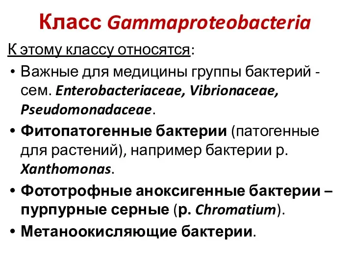Класс Gammaproteobacteria К этому классу относятся: Важные для медицины группы