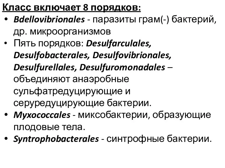 Класс включает 8 порядков: Bdellovibrionales - паразиты грам(-) бактерий, др.