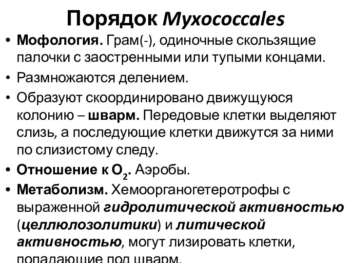 Порядок Myxococcales Мофология. Грам(-), одиночные скользящие палочки с заостренными или