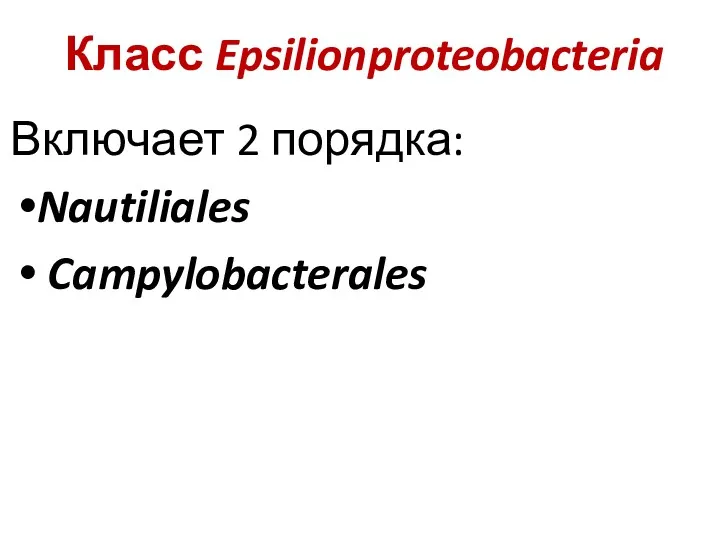 Класс Epsilionproteobacteria Включает 2 порядка: Nautiliales Campylobacterales