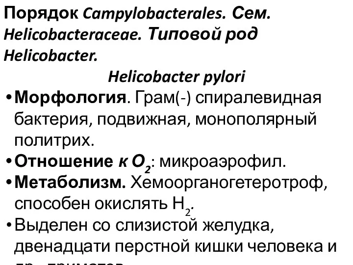 Порядок Campylobacterales. Сем. Helicobacteraceae. Типовой род Helicobacter. Helicobacter pylori Морфология.