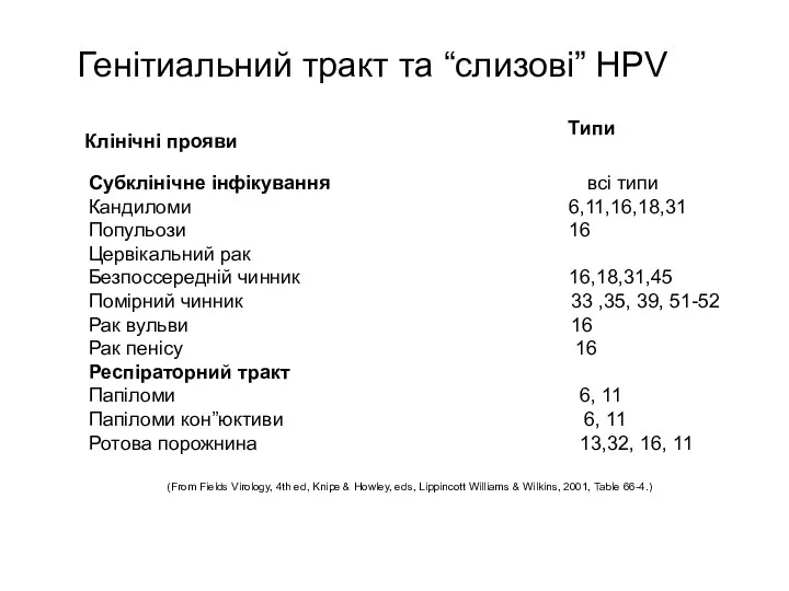 Генітиальний тракт та “слизові” HPV (From Fields Virology, 4th ed,