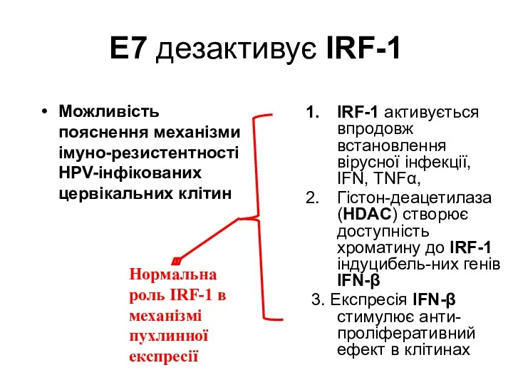 E7 дезактивує IRF-1 Можливість пояснення механізми імуно-резистентності HPV-інфікованих цервікальних клітин