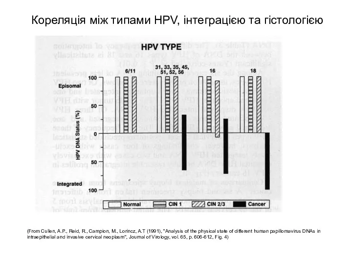 Кореляція між типами HPV, інтеграцією та гістологією (From Cullen, A.P.,