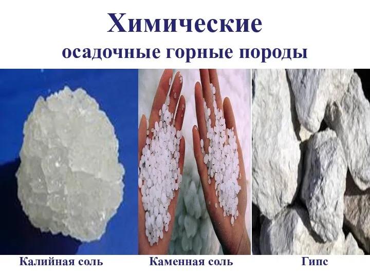 Химические осадочные горные породы Калийная соль Каменная соль Гипс