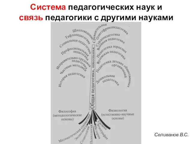 Система педагогических наук и связь педагогики с другими науками Селиванов В.С.