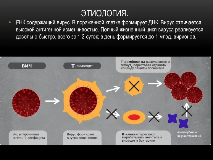 РНК содержащий вирус. В пораженной клетке формирует ДНК. Вирус отличается