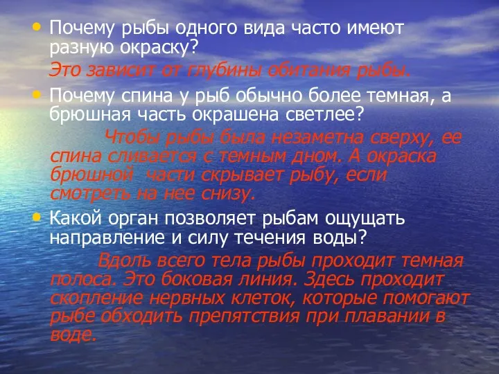 Почему рыбы одного вида часто имеют разную окраску? Это зависит