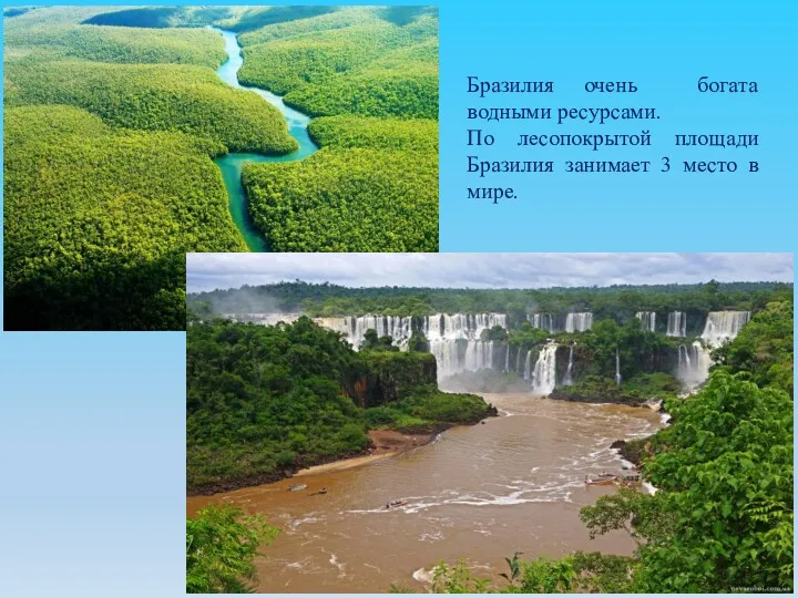 Бразилия очень богата водными ресурсами. По лесопокрытой площади Бразилия занимает 3 место в мире.