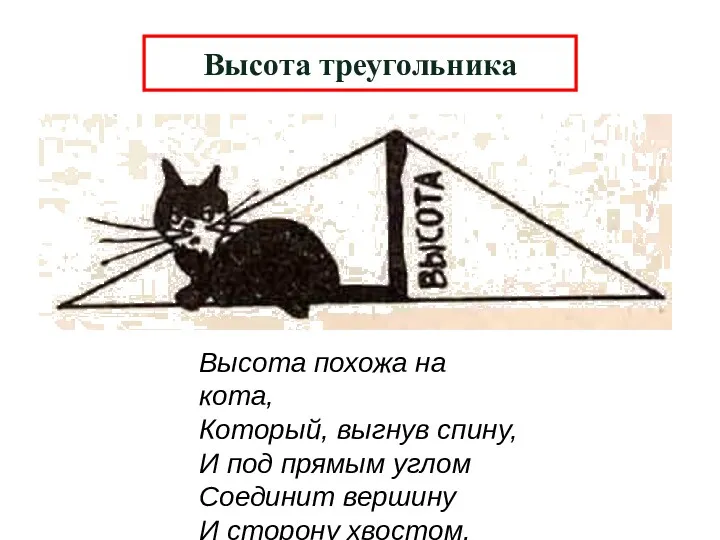 Высота треугольника Высота похожа на кота, Который, выгнув спину, И