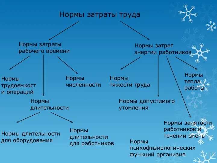 Нормы затраты труда Нормы затраты рабочего времени Нормы затрат энергии