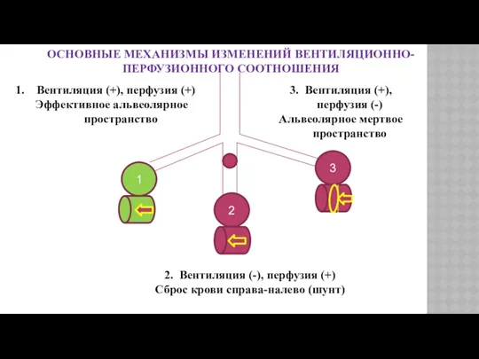 ОСНОВНЫЕ МЕХАНИЗМЫ ИЗМЕНЕНИЙ ВЕНТИЛЯЦИОННО-ПЕРФУЗИОННОГО СООТНОШЕНИЯ 1 2 3 Вентиляция (+),