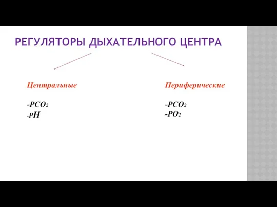 РЕГУЛЯТОРЫ ДЫХАТЕЛЬНОГО ЦЕНТРА Центральные -РСО2 -РН Периферические -РСО2 -РО2