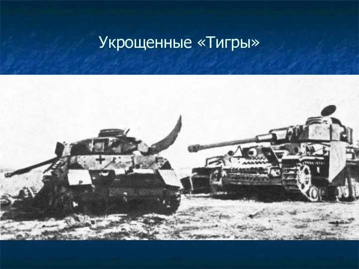 Укрощенные «Тигры»