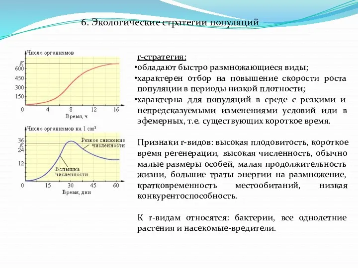 K- и r-стратегии популяций r-стратегия: обладают быстро размножающиеся виды; характерен