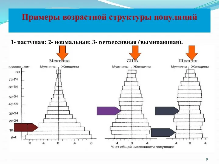 Примеры возрастной структуры популяций 1- растущая; 2- нормальная; 3- регрессивная (вымирающая). 1 1