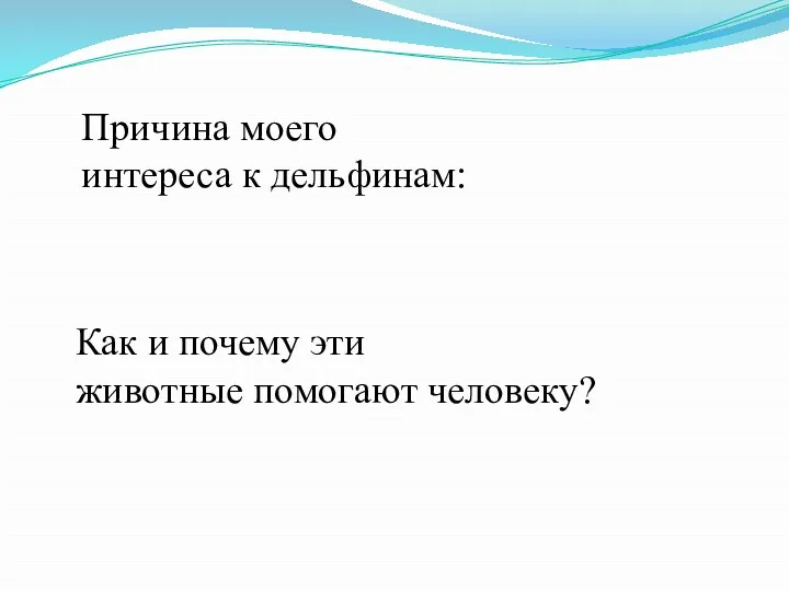 Причина моего интереса к дельфинам: Как и почему эти животные помогают человеку?