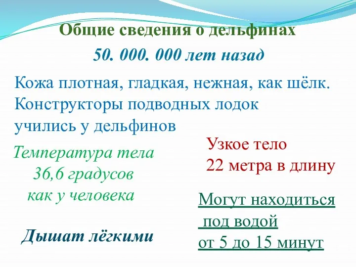 Общие сведения о дельфинах 50. 000. 000 лет назад Узкое