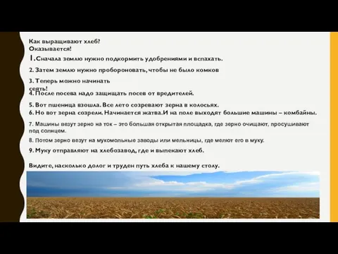 Как выращивают хлеб? Оказывается! 1.Сначала землю нужно подкормить удобрениями и