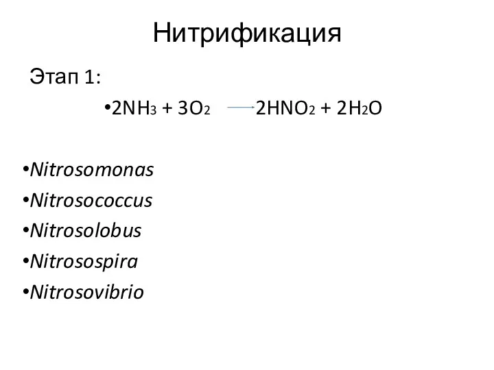 Нитрификация Этап 1: 2NH3 + 3O2 2HNO2 + 2H2O Nitrosomonas Nitrosococcus Nitrosolobus Nitrosospira Nitrosovibrio