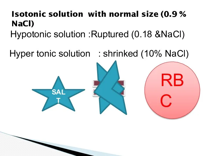 Isotonic solution with normal size (0.9 % NaCl) SALT RBC