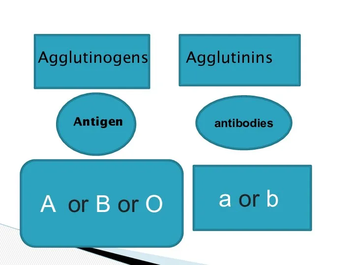Agglutinogens Agglutinins Antigen antibodies A or B or O a or b