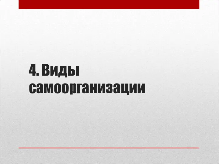 4. Виды самоорганизации