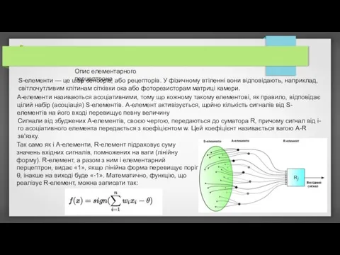 Опис елементарного перцептрона S-елементи — це шар сенсорів, або рецепторів.