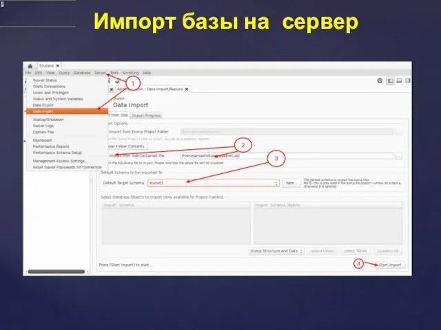 Импорт базы на сервер