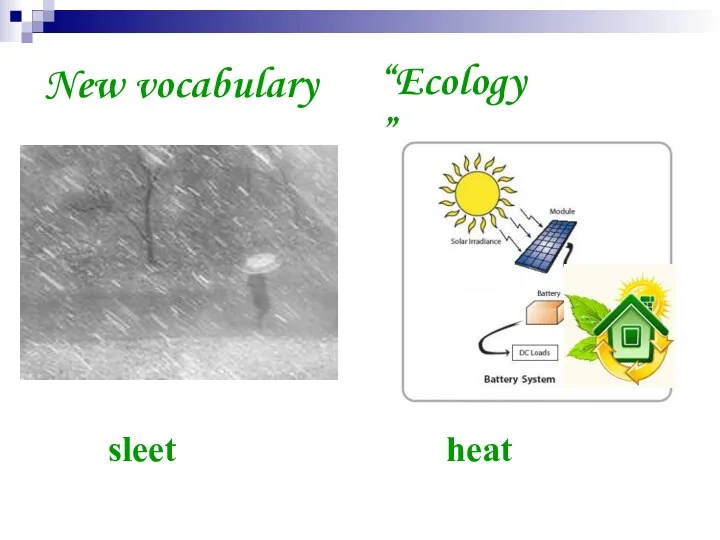 New vocabulary sleet “Ecology” heat