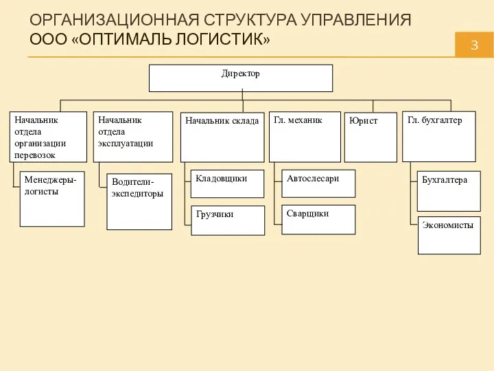 ОРГАНИЗАЦИОННАЯ СТРУКТУРА УПРАВЛЕНИЯ ООО «ОПТИМАЛЬ ЛОГИСТИК» 3