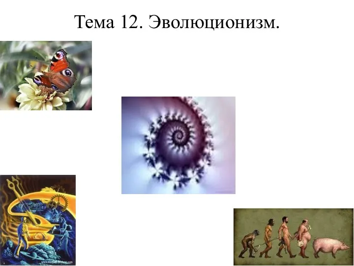 Тема 12. Эволюционизм.