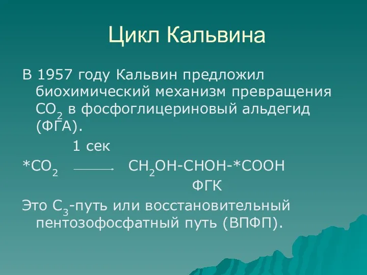 Цикл Кальвина В 1957 году Кальвин предложил биохимический механизм превращения