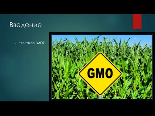 Введение Что такое ГМО?
