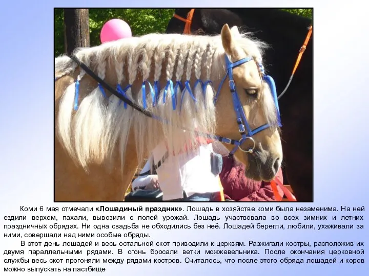 Коми 6 мая отмечали «Лошадиный праздник». Лошадь в хозяйстве коми была незаменима. На