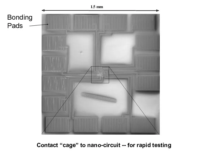 1.5 mm Contact “cage” to nano-circuit -- for rapid testing Bonding Pads