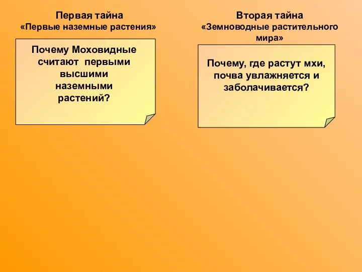 Почему, где растут мхи, почва увлажняется и заболачивается? Первая тайна