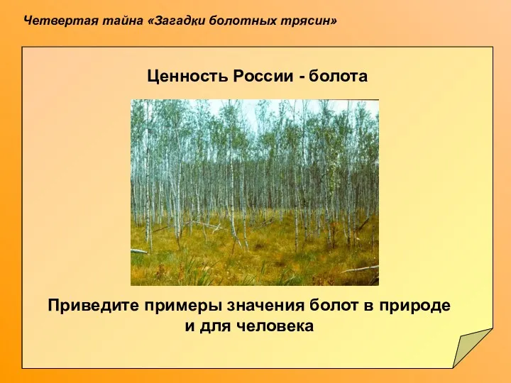 Четвертая тайна «Загадки болотных трясин» Как можно объяснить сохранность находок