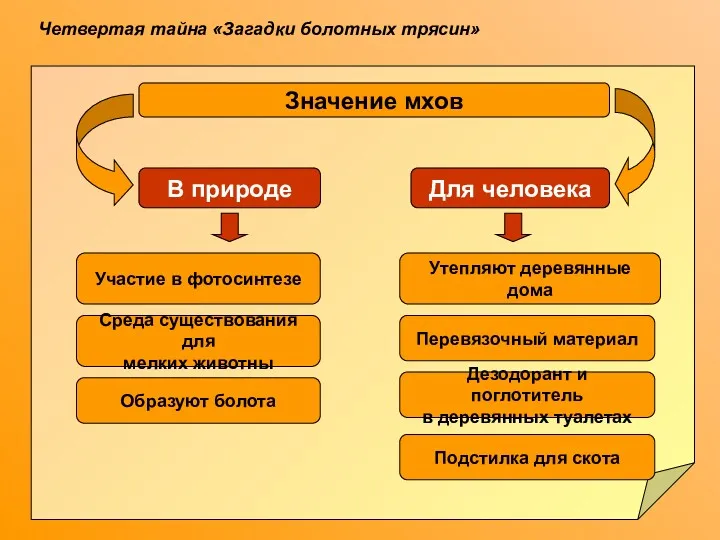 Четвертая тайна «Загадки болотных трясин» Значение мхов В природе Для