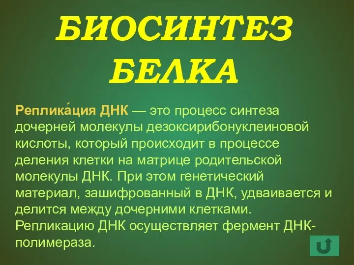 БИОСИНТЕЗ БЕЛКА Реплика́ция ДНК — это процесс синтеза дочерней молекулы