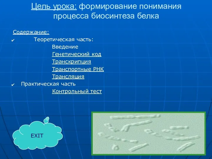 Цель урока: формирование понимания процесса биосинтеза белка Содержание: Теоретическая часть: