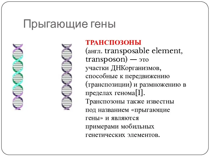 Прыгающие гены ТРАНСПОЗОНЫ (англ. transposable element, transposon) — это участки