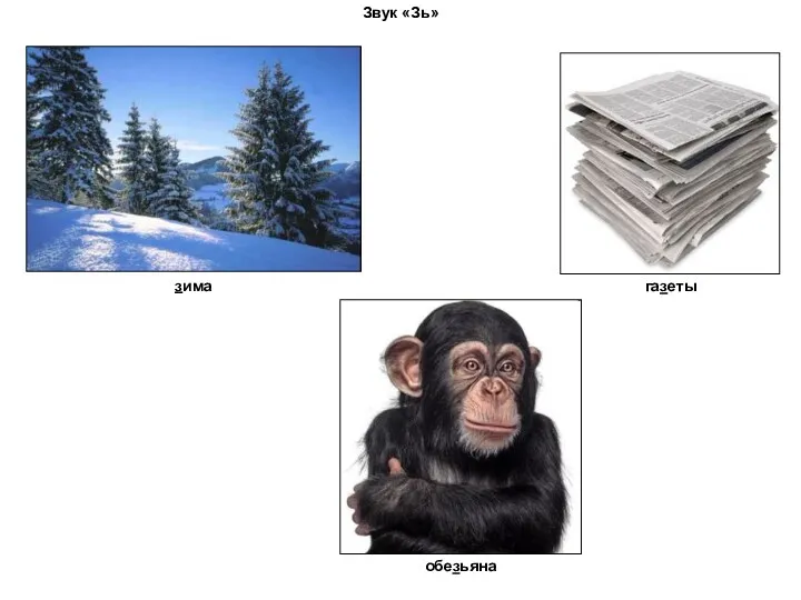 Звук «Зь» зима газеты обезьяна