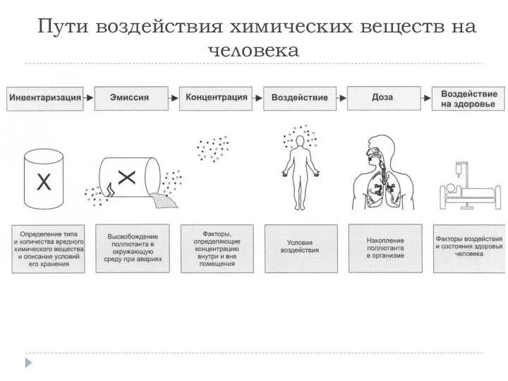 Пути воздействия химических веществ на человека