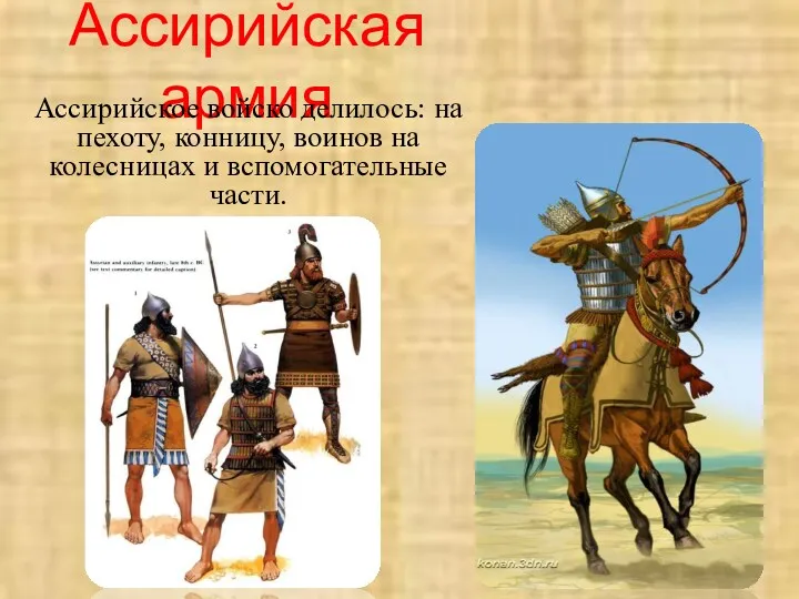 Ассирийская армия Ассирийское войско делилось: на пехоту, конницу, воинов на колесницах и вспомогательные части.