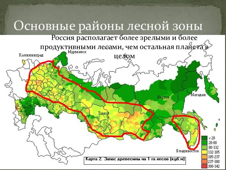Основные районы лесной зоны Россия располагает более зрелыми и более