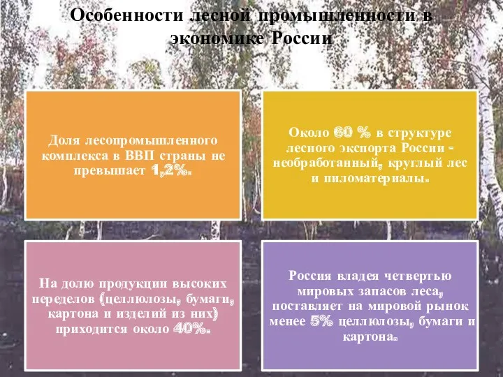 Особенности лесной промышленности в экономике России