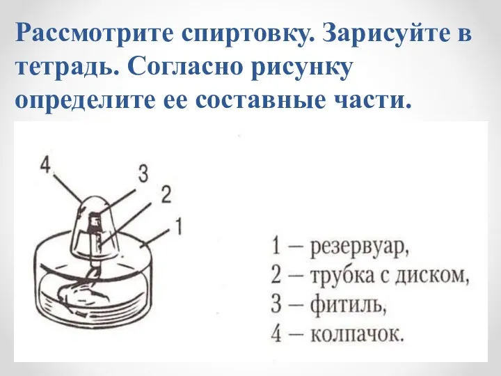 Рассмотрите спиртовку. Зарисуйте в тетрадь. Согласно рисунку определите ее составные части.